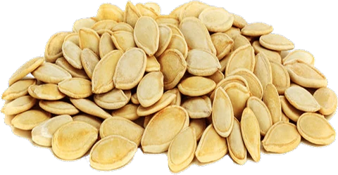 Kabak Çekirdeği